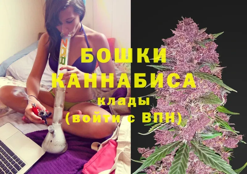 Конопля White Widow  наркотики  Осинники 